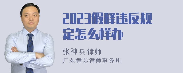 2023假释违反规定怎么样办