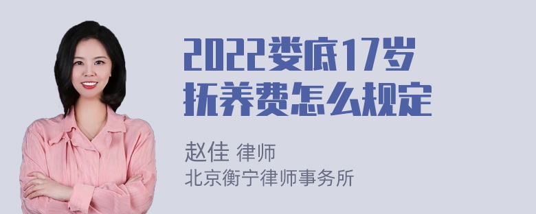 2022娄底17岁抚养费怎么规定