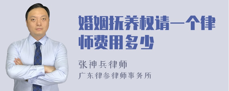 婚姻抚养权请一个律师费用多少