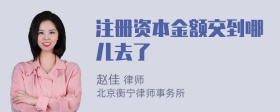 注册资本金额交到哪儿去了