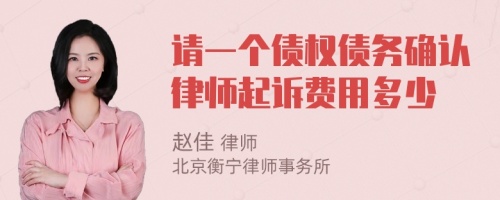 请一个债权债务确认律师起诉费用多少