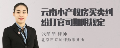 云南小产权房买卖纠纷打官司期限规定