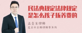 民法典规定法律规定是怎么孩子抚养费的