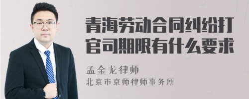 青海劳动合同纠纷打官司期限有什么要求