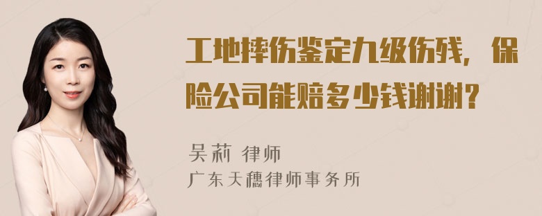 工地摔伤鉴定九级伤残，保险公司能赔多少钱谢谢？