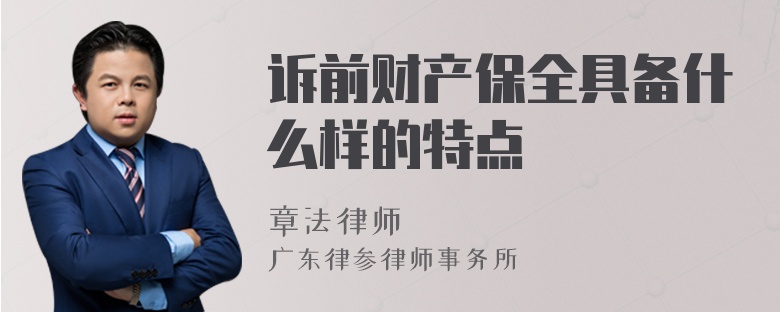 诉前财产保全具备什么样的特点