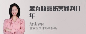 睾丸故意伤害罪判几年