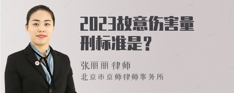 2023故意伤害量刑标准是？