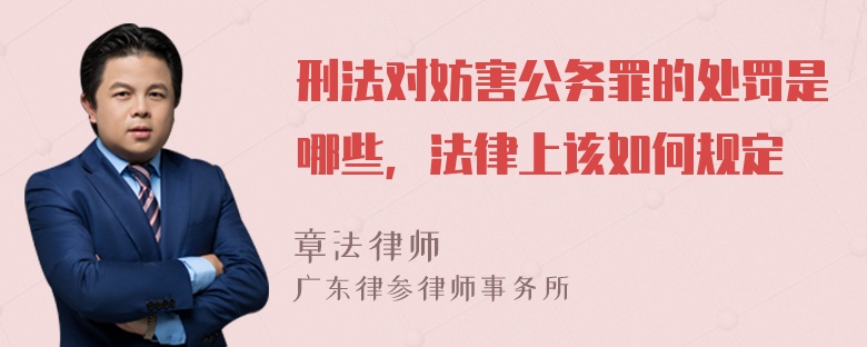 刑法对妨害公务罪的处罚是哪些，法律上该如何规定