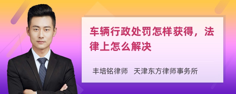 车辆行政处罚怎样获得，法律上怎么解决