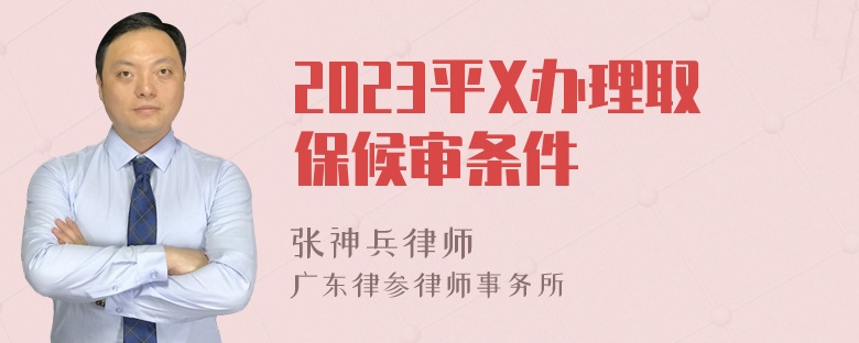 2023平X办理取保候审条件