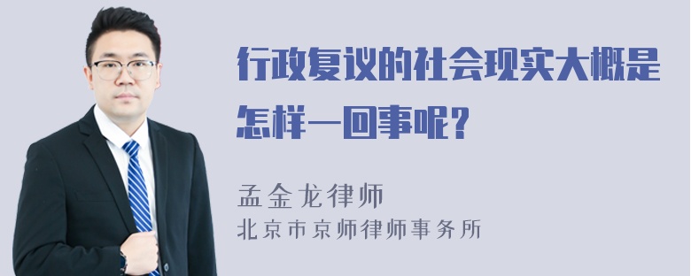 行政复议的社会现实大概是怎样一回事呢？