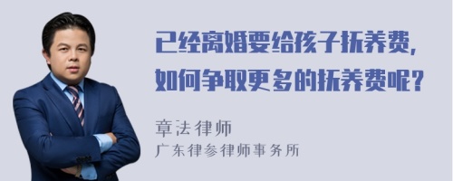 已经离婚要给孩子抚养费，如何争取更多的抚养费呢？