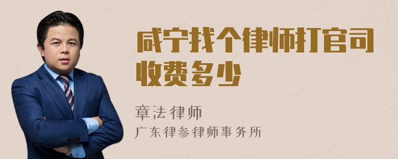 咸宁找个律师打官司收费多少