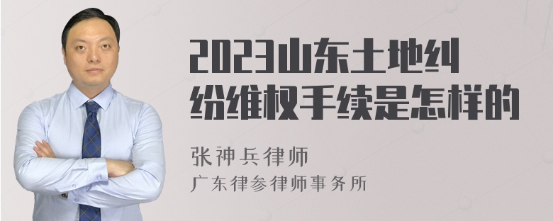 2023山东土地纠纷维权手续是怎样的