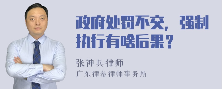 政府处罚不交，强制执行有啥后果？