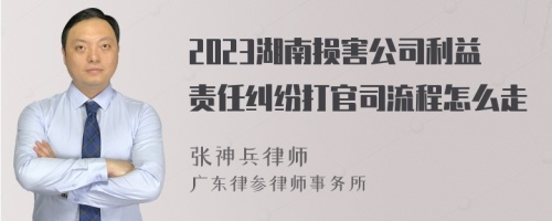 2023湖南损害公司利益责任纠纷打官司流程怎么走