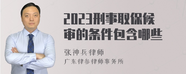 2023刑事取保候审的条件包含哪些