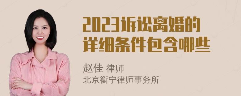 2023诉讼离婚的详细条件包含哪些