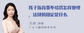 孩子抚育费不给我怎样处理，法律的规定是什么