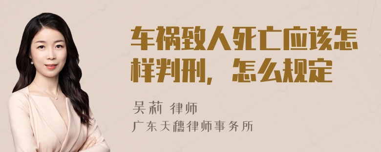 车祸致人死亡应该怎样判刑，怎么规定