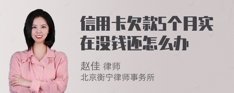 信用卡欠款5个月实在没钱还怎么办