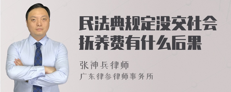 民法典规定没交社会抚养费有什么后果