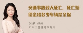 交通事故致人死亡，死亡赔偿金给多少车辆是全保