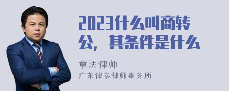 2023什么叫商转公，其条件是什么