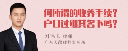 何所谓的收养手续？户口过继其名下吗？