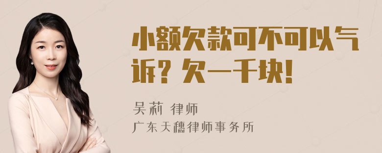 小额欠款可不可以气诉？欠一千块！