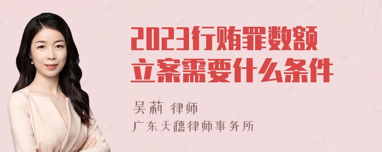 2023行贿罪数额立案需要什么条件
