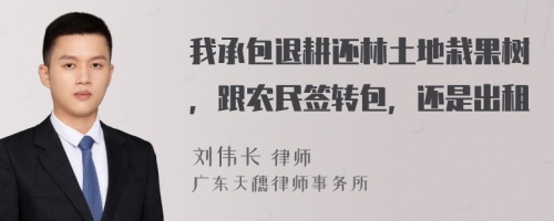 我承包退耕还林土地栽果树，跟农民签转包，还是出租