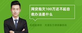 网贷拖欠100万还不起自救办法是什么