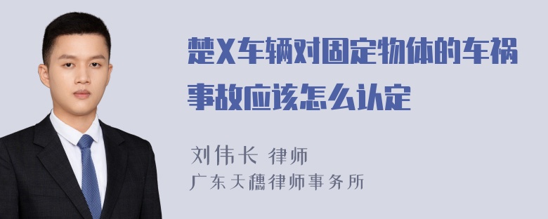 楚X车辆对固定物体的车祸事故应该怎么认定