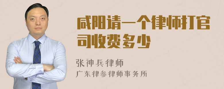 咸阳请一个律师打官司收费多少