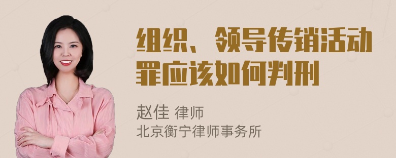 组织、领导传销活动罪应该如何判刑