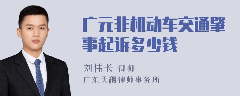 广元非机动车交通肇事起诉多少钱