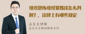 组织恐怖组织罪既遂怎么判刑？，法律上有哪些规定