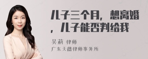 儿子三个月，想离婚，儿子能否判给我