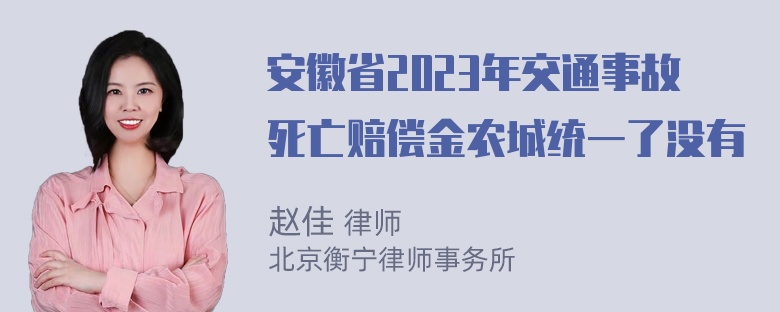 安徽省2023年交通事故死亡赔偿金农城统一了没有