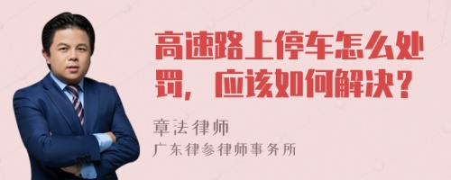 高速路上停车怎么处罚，应该如何解决？