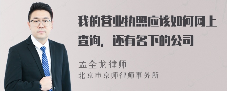 我的营业执照应该如何网上查询，还有名下的公司