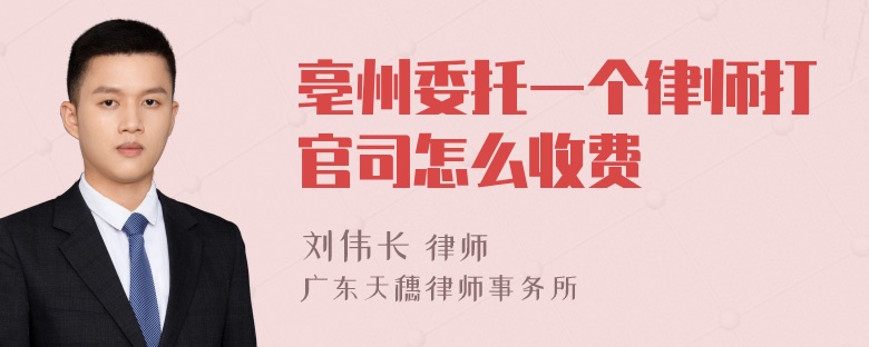 亳州委托一个律师打官司怎么收费