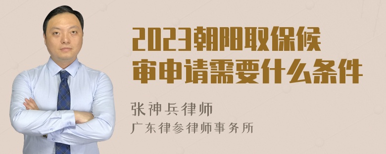 2023朝阳取保候审申请需要什么条件