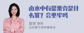 卤水中有罂粟壳是什么罪？会坐牢吗