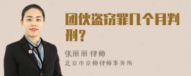 团伙盗窃罪几个月判刑？