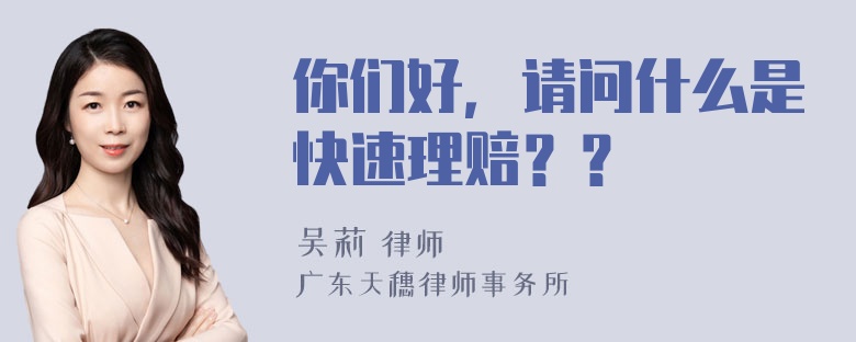 你们好，请问什么是快速理赔？？