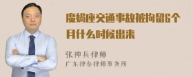 魔蝎座交通事故被拘留6个月什么时候出来