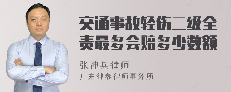 交通事故轻伤二级全责最多会赔多少数额